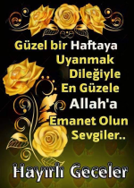 1698016288580.png