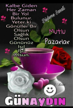 1708213122247.png