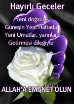 1708294225383.png