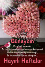 1709505157778.png