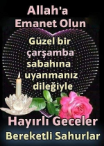 1711491064621.png