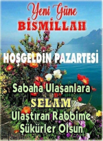 1711921651976.png