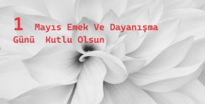 Ekran görüntüsü 2024-04-30 214500.png