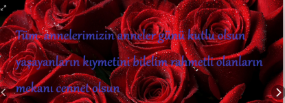 Ekran görüntüsü 2024-04-30 161641.png