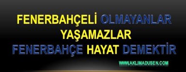 FENERBAHÇE 1.JPG