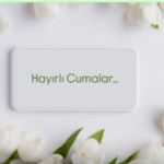 Ekran görüntüsü 2025-04-25 114437.png