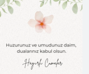 Ekran görüntüsü 2025-05-30 111212.png