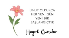 Ekran görüntüsü 2025-07-25 115105.png