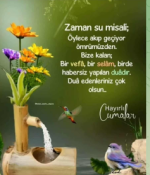 Ekran Alıntısı.PNG