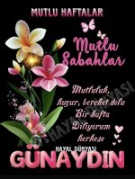 270cff41f8a1bb3c6adcdac046c7a6b5.jpg