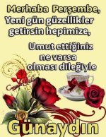 e766a6f158a53a14a7318aa4ea28a5e4.jpg
