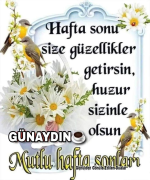 1779580486912.png