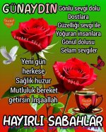 2c870b8f8426f5fc14e5441ab0260993.jpg