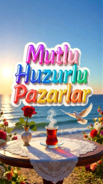 1780836210815.png