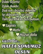 1781906459170.png