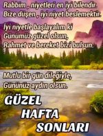 dbd5f174e6d7ac6b04a2656ee31183ad.jpg